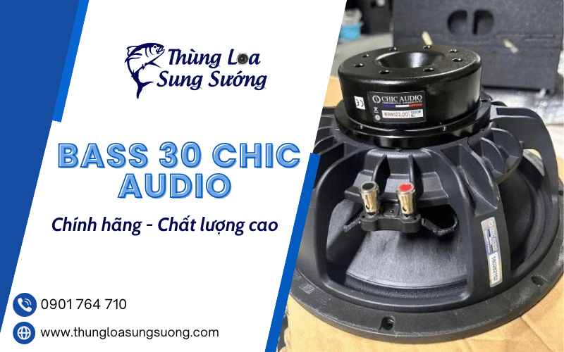 Bass 30 Chic Audio